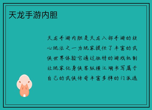 天龙手游内胆